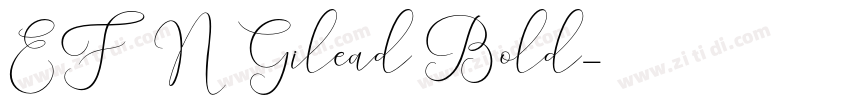 EFN Gilead Bold字体转换